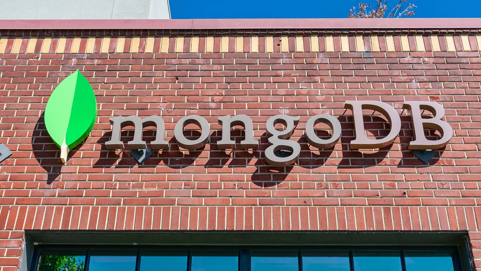5 Investors Betting Big on MongoDB (MDB) Stock Now