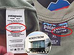 Patagonia sues Nordstrom accusing the retail giant of selling thousands of knock-off ''cotton'' merch