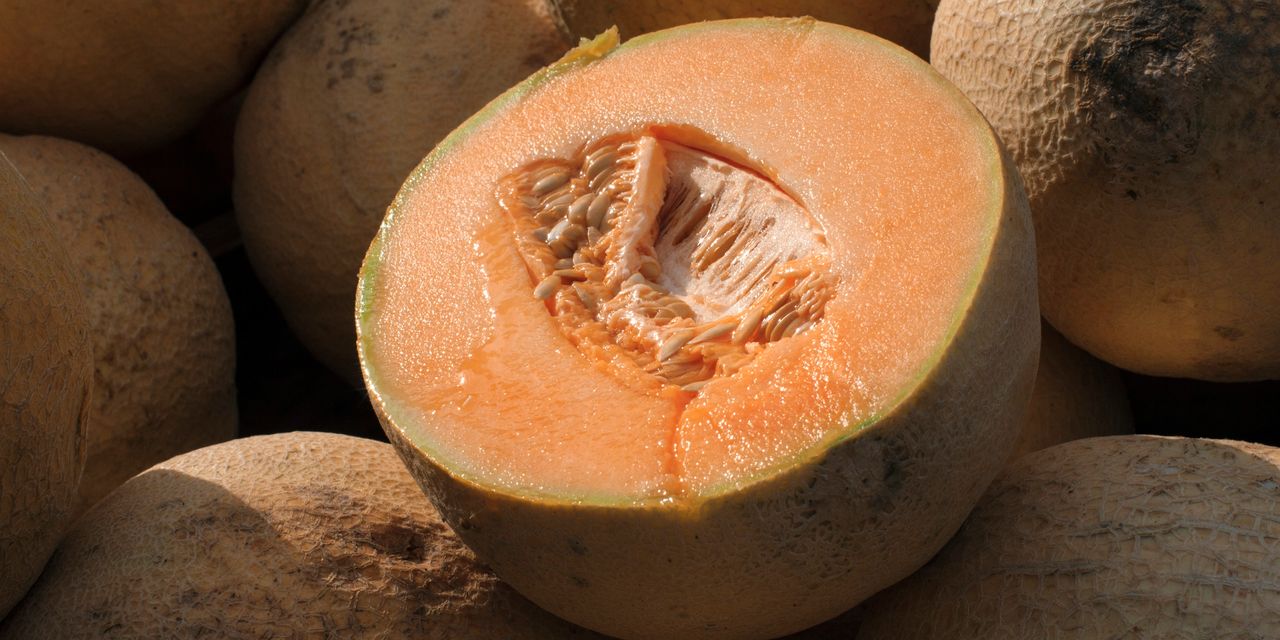 Salmonella Outbreak Linked to Cantaloupe Prompts CDC Warning