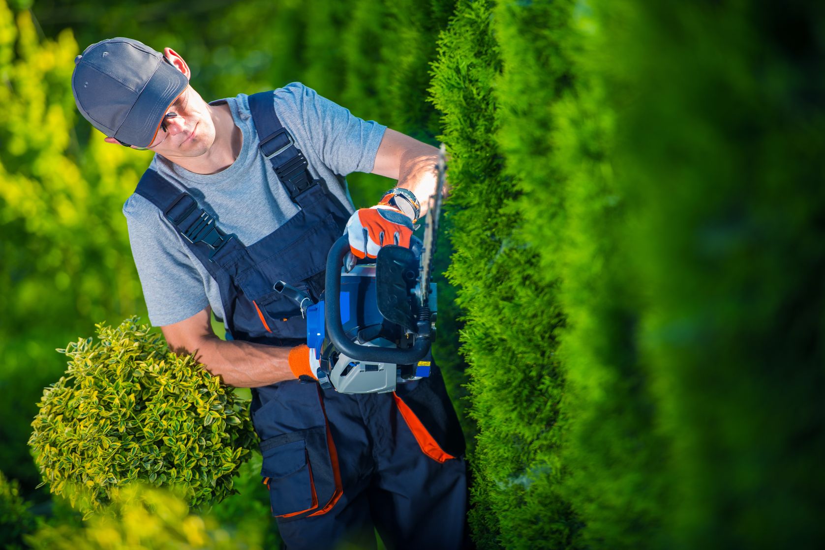Should You Hold SiteOne Landscape Supply (SITE) for the Long-Term?
