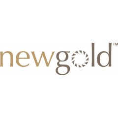 New Gold (NYSEAMERICAN:NGD) Trading Up 2.8%