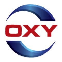 Occidental Petroleum Corp (OXY) ââ¦ââ CEO Vicki Hollub''s Shareholder Letter: A Year of ...