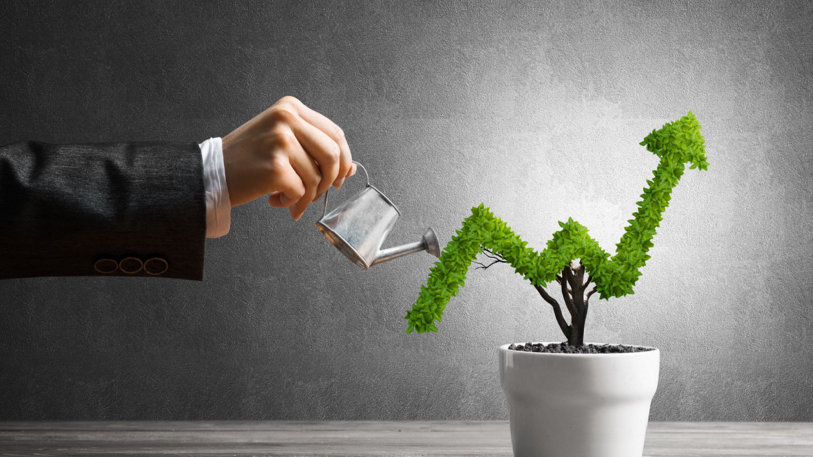 7 Steady Growth Stocks to Buy Before 2024