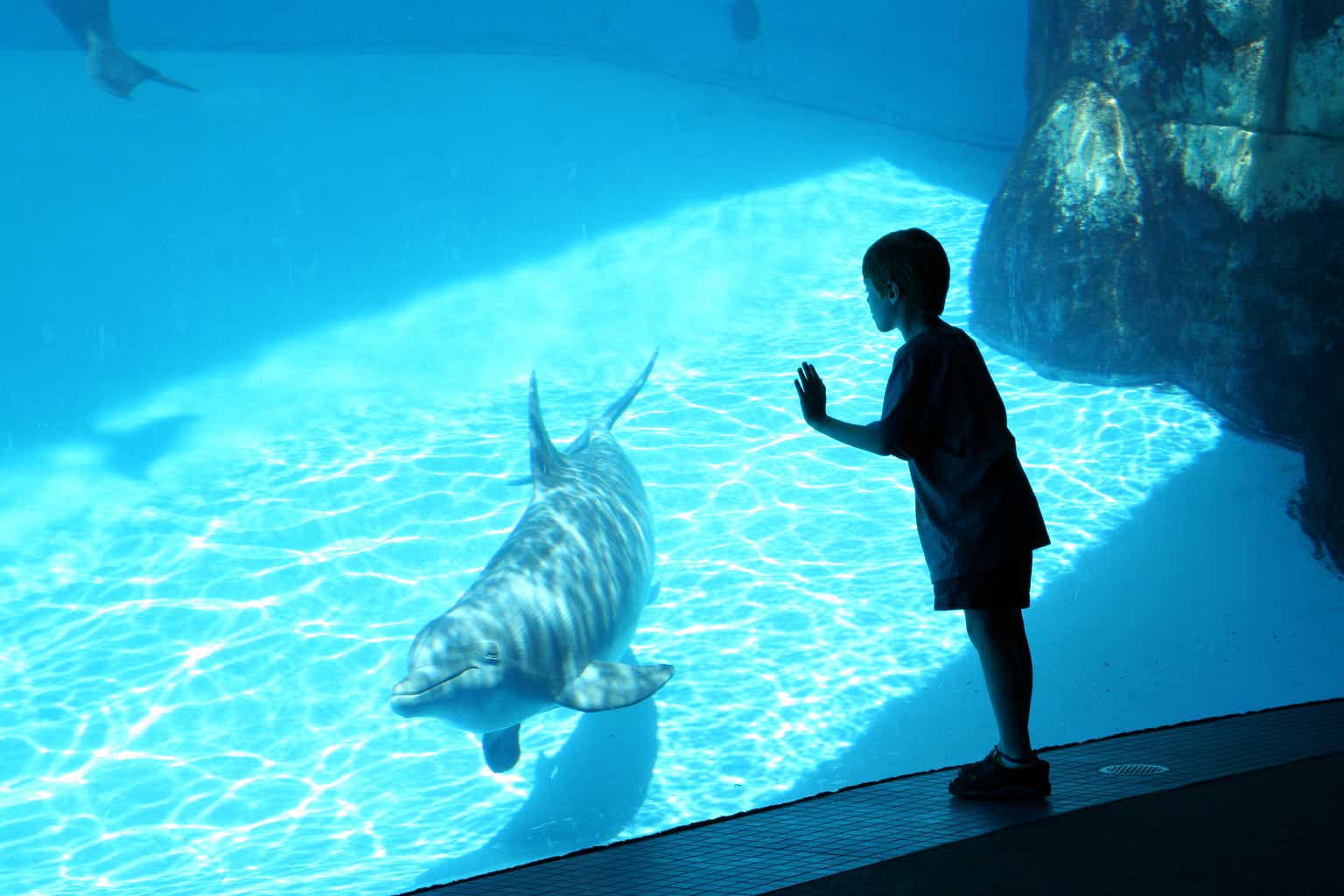 SeaWorld Entertainment: Gauging The Impact Of Inclement Weather, Remains A Buy Long Term